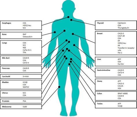 Tumor Marker Tests in Common Use